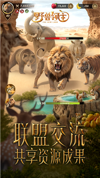 野兽领主新世界真人斗牛牛官网版游戏截图1